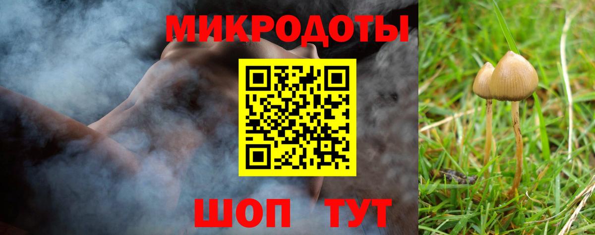 Джанкой  Галлюциногенные грибы мицелий  Вход с VPN  Псилоцибиновые грибы GOLDEN TEACHER 